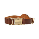 Bloompaw Saddle Brown Airtag Yuvalı Hakiki Deri Pet Tasma