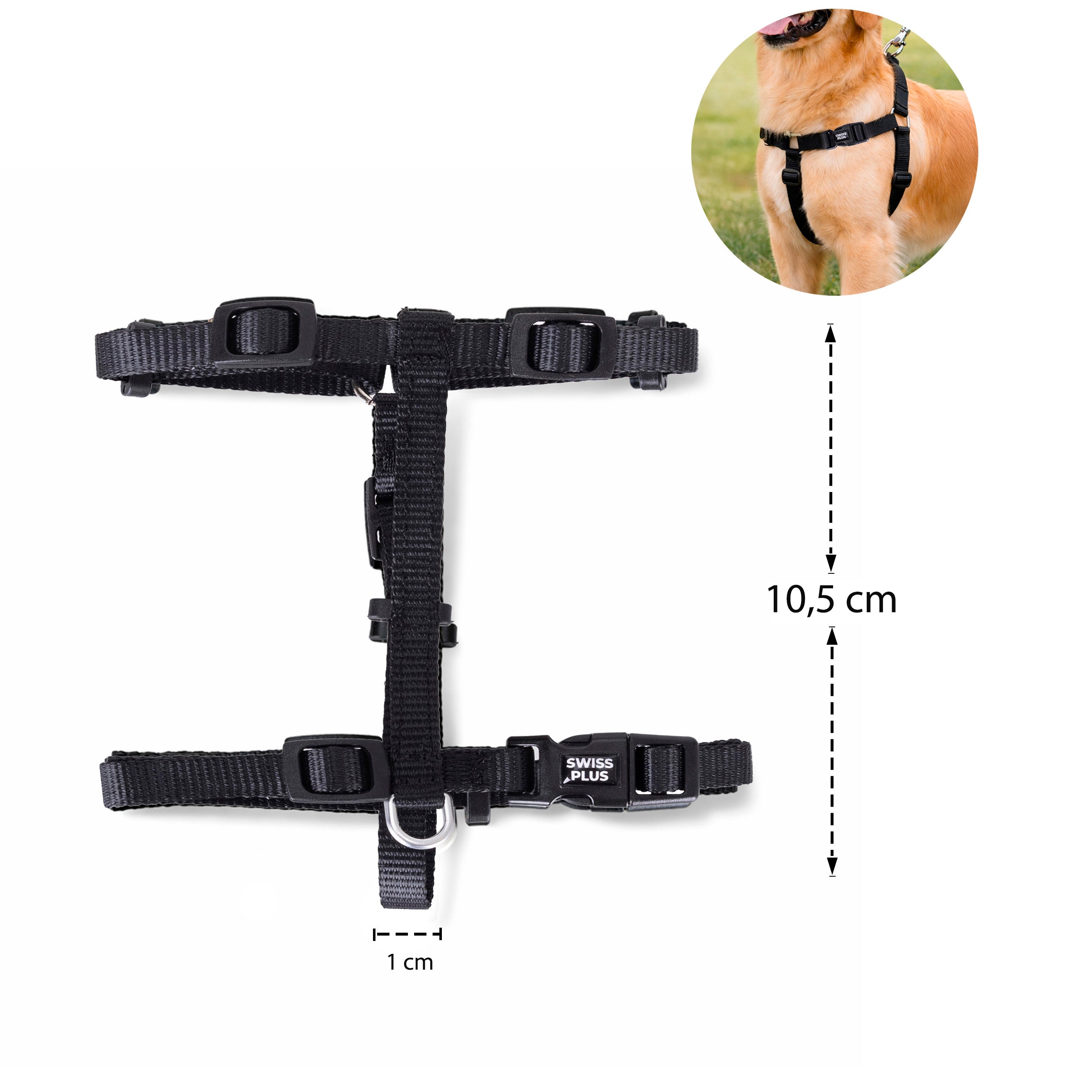 Solid Color H-Type Harness