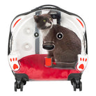 Pawbuddy Clear Companion – Şeffaf Tekerlekli Evcil Hayvan Taşıma Çantası