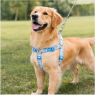 Swissplus Urban Paws Blue Batic Geri Dönüştürülmüş H-Tipi Köpek Göğüs Tasması-2Xs