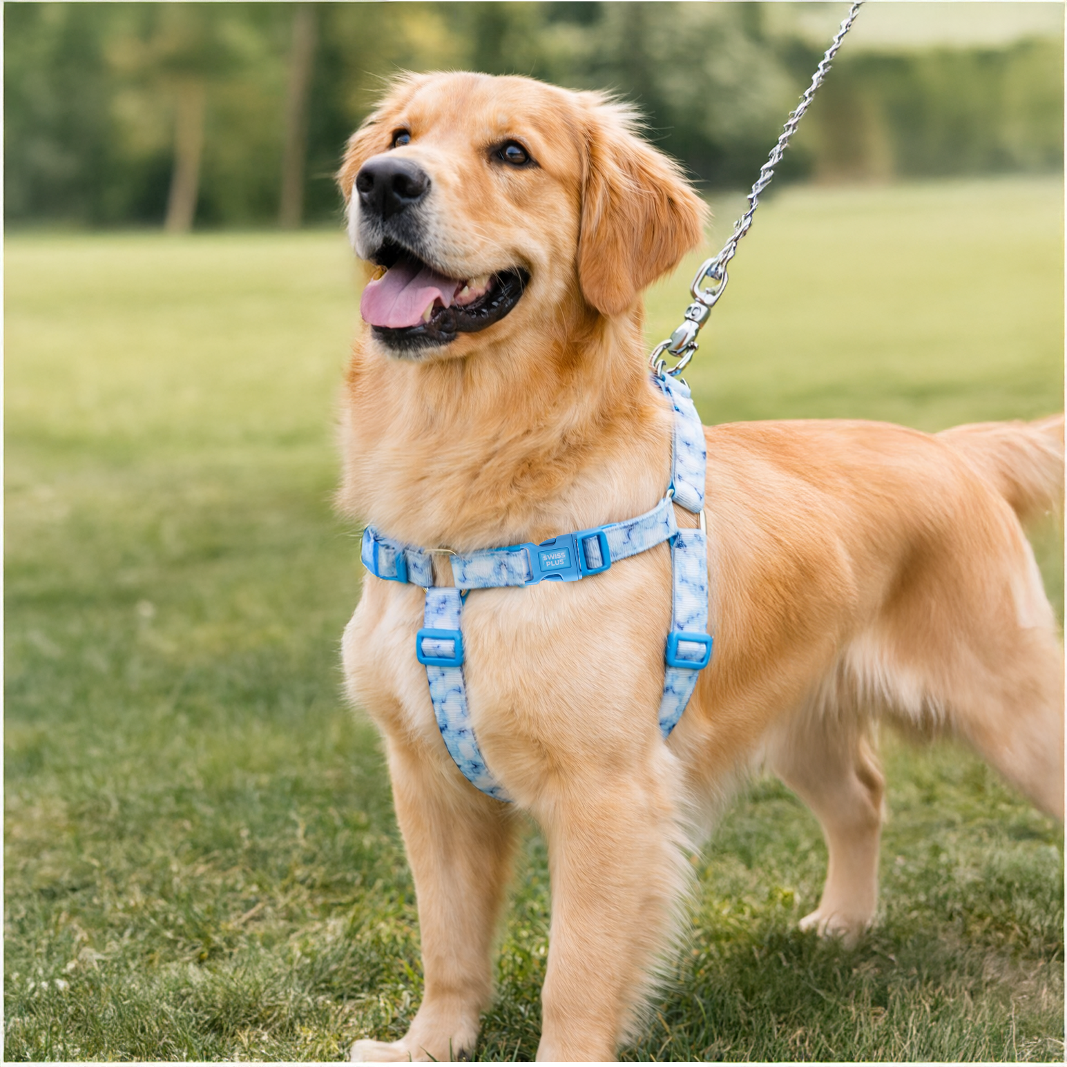 Swissplus Urban Paws Blue Batic Geri Dönüştürülmüş H-Tipi Köpek Göğüs Tasması-2Xs