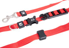 Swissplus Urban Paws Crimson Red Hands-Free Ayarlanabilir Köpek Kordonu – 25Mm