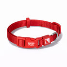 Swissplus Urban Paws Köpek Tasması – Crimson Red | Ayarlanabilir, Dayanıklı, Hafif-10Mm