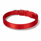Swissplus Urban Paws Köpek Tasması – Crimson Red | Ayarlanabilir, Dayanıklı, Hafif-10Mm