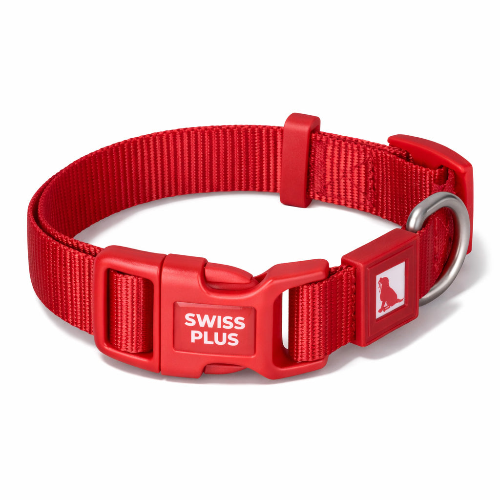 Swissplus Urban Paws Köpek Tasması – Crimson Red | Ayarlanabilir, Dayanıklı, Hafif-25Mm