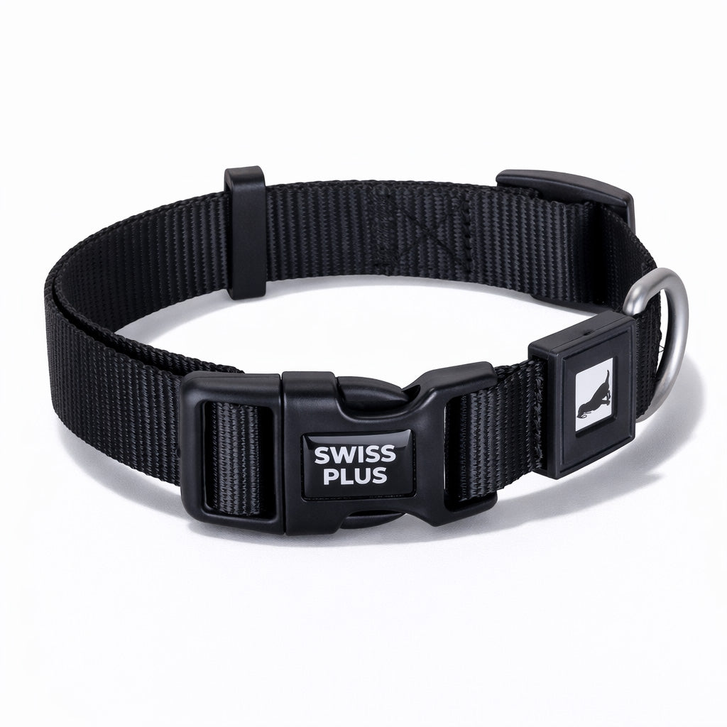 Swissplus Urban Paws Köpek Tasması – Noir Black | Ayarlanabilir, Dayanıklı, Hafif-15Mm