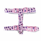 Swissplus Urban Paws Pink Leo Geri Dönüştürülmüş H-Tipi Köpek Göğüs Tasması-M