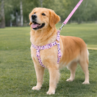Swissplus Urban Paws Pink Leo Geri Dönüştürülmüş H-Tipi Köpek Göğüs Tasması-Xs
