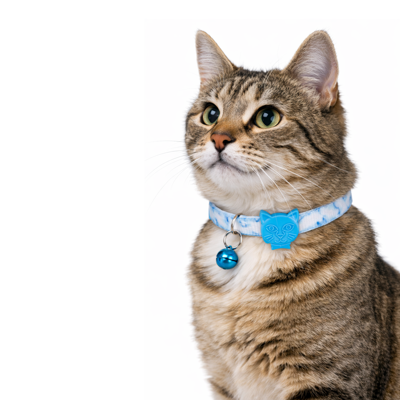 Swissplus Urban Paws Sky Marble Recycled Kedi Tasması- 10 Mm