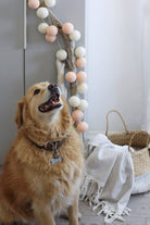 Boule De Petite-Zen Işıklı Top Aydınlatmaenn-Dekoratif Aydınlatma-1-Milagron.com