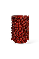 Raspberry Vazo - 1