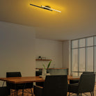 Cheetah 13296 Led Plafonyer Aydınlatma 