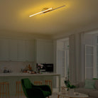 Cheetah 13297 Led Plafonyer Aydınlatma 