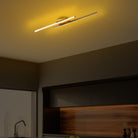 Cheetah 13297 Led Plafonyer Aydınlatma 