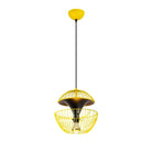 Clematara 11445 Tel Sarkıt Aydınlatma 
