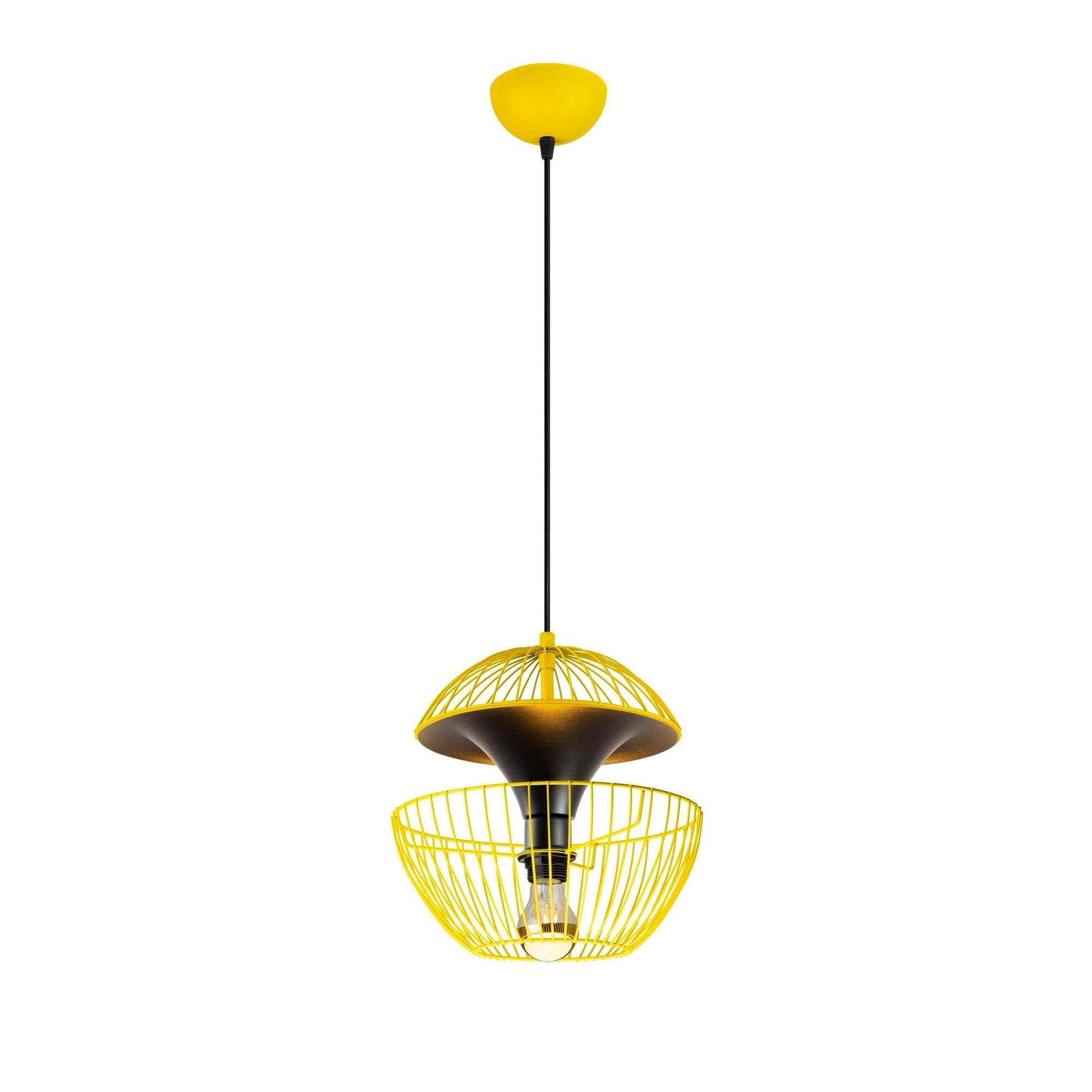 Clematara 11445 Tel Sarkıt Aydınlatma 