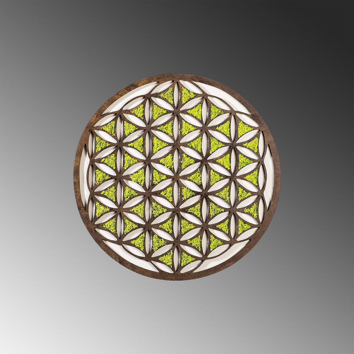Yns-007 Dekoratif Yosun Duvar Tablosu 