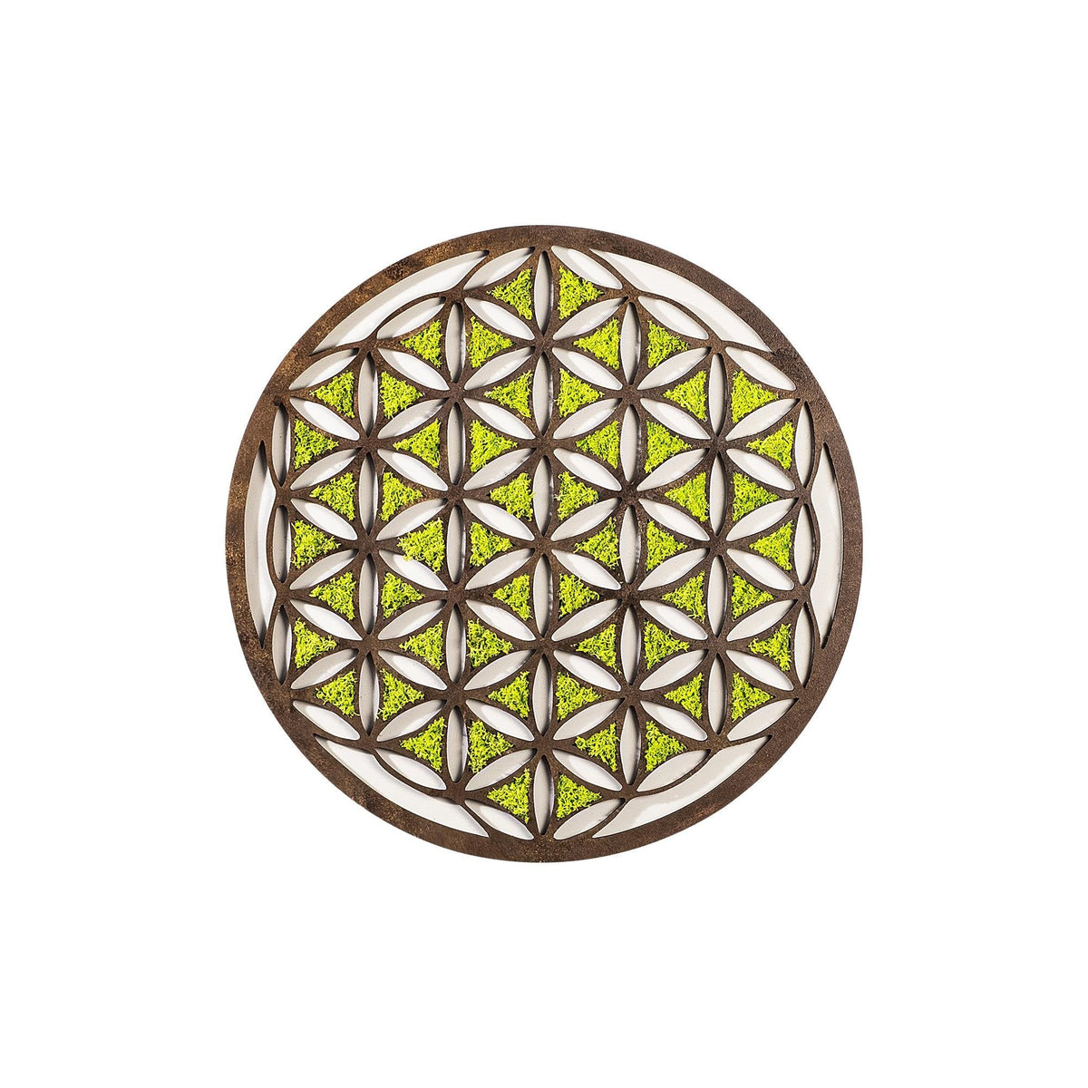 Yns-007 Dekoratif Yosun Duvar Tablosu 