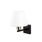 Delphinium 4661 Cam Aplik Duvar Aydınlatma 