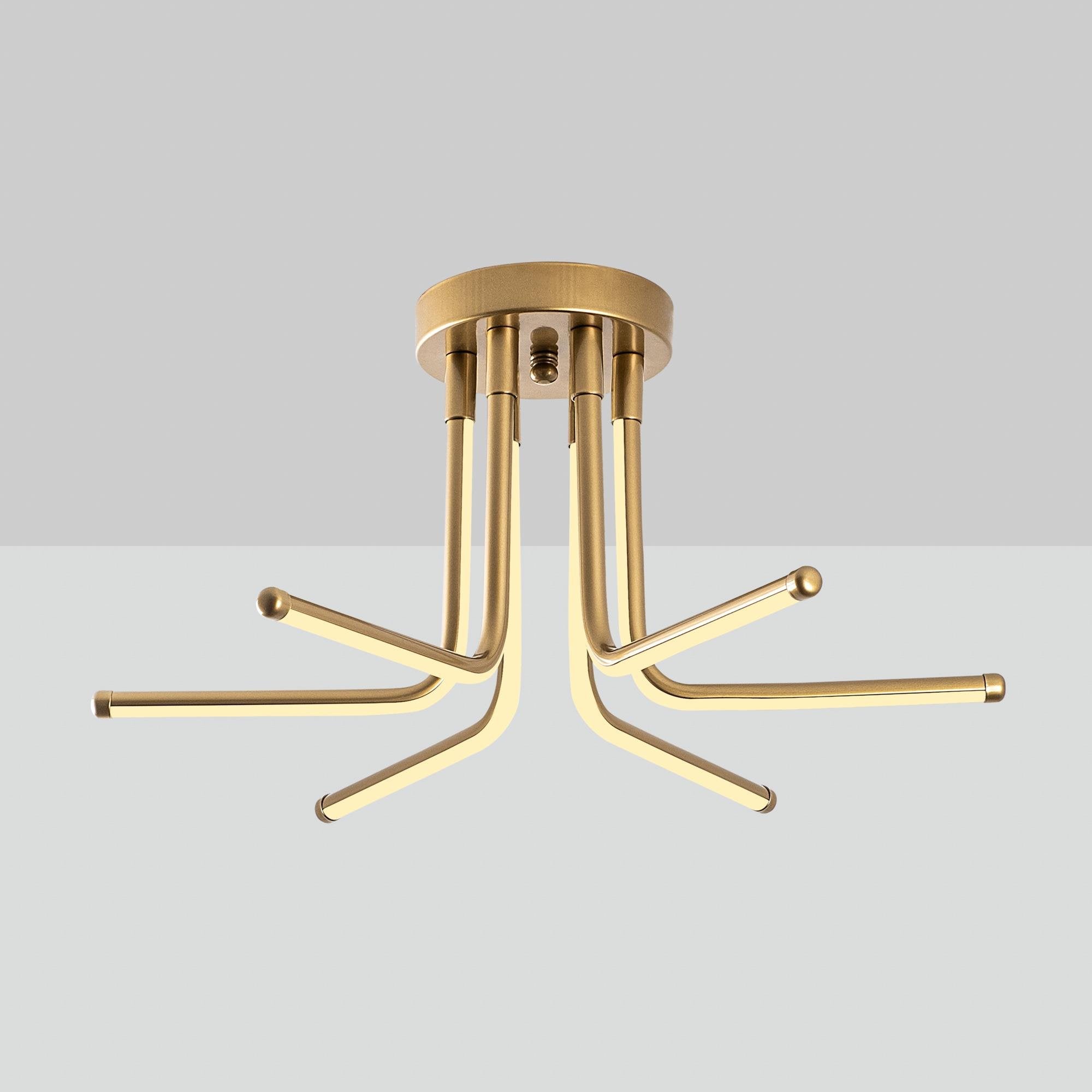 Enceladus 13675 Led Plafonyer Aydınlatma 