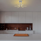 Enceladus 13676 Led Plafonyer Aydınlatma 