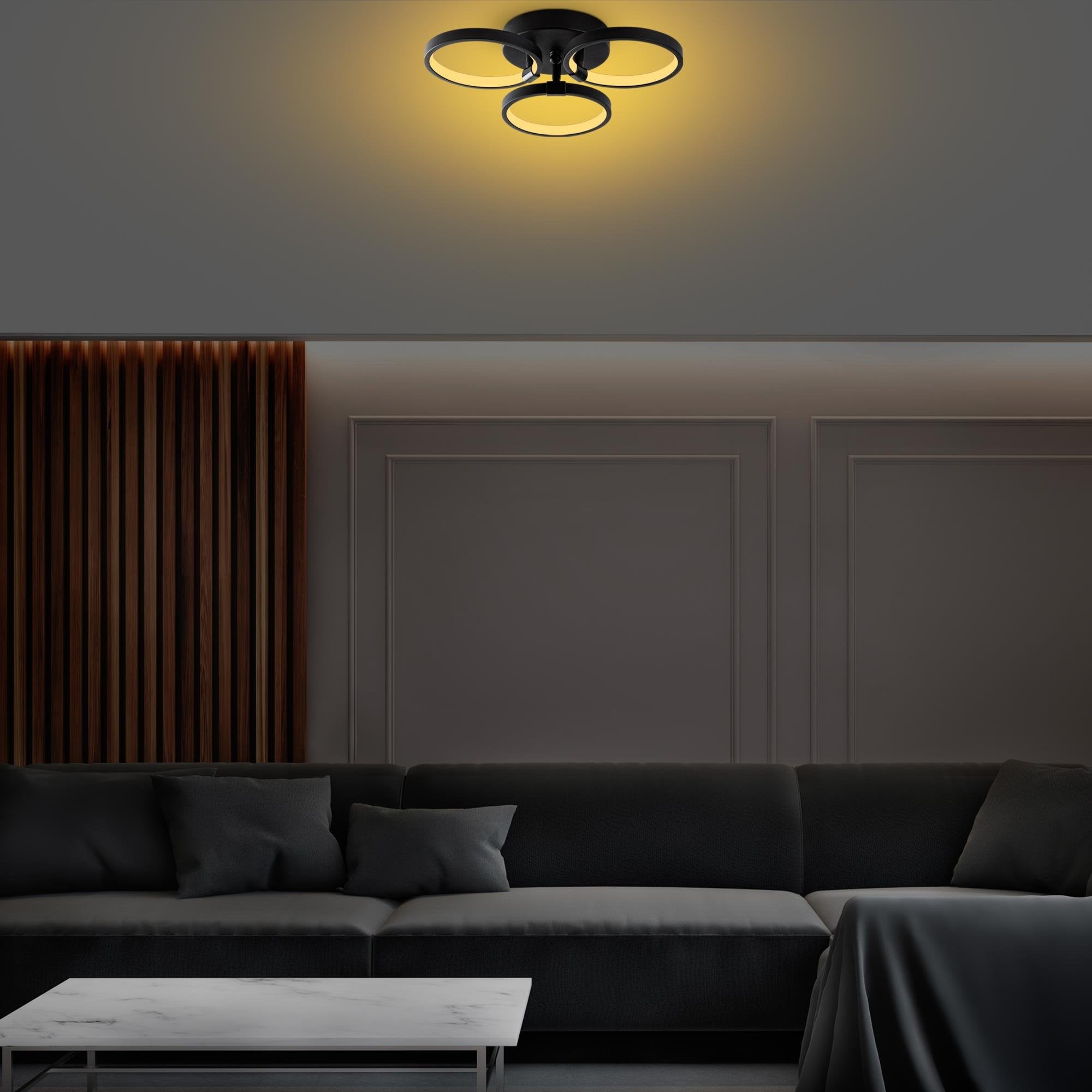 Irisara 13310 Led Plafonyer Aydınlatma 