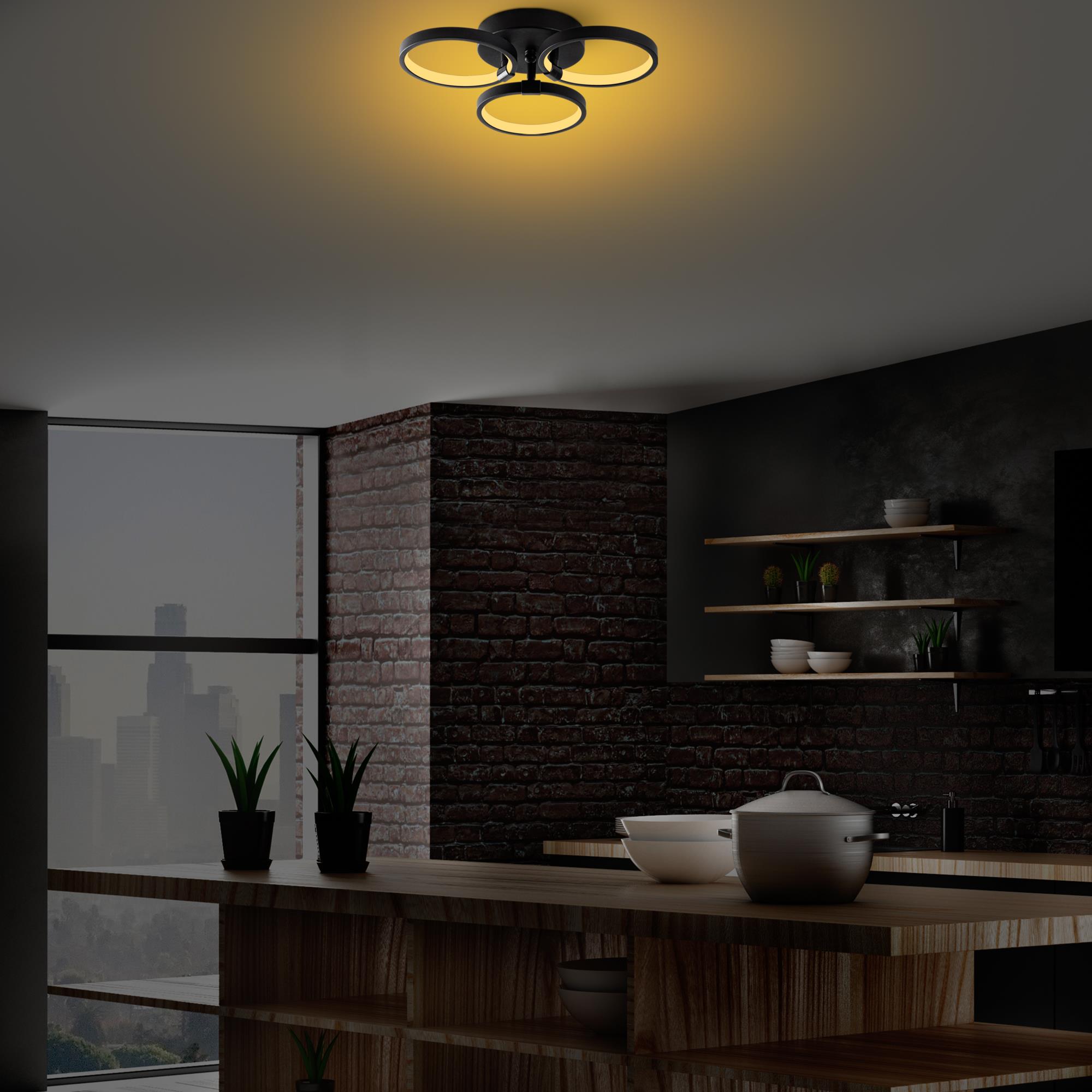Irisara 13310 Led Plafonyer Aydınlatma 