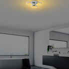 Irisara 13312 Led Plafonyer Aydınlatma 