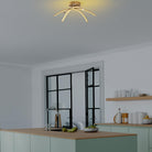 Lavender 13686 Led Plafonyer Aydınlatma 