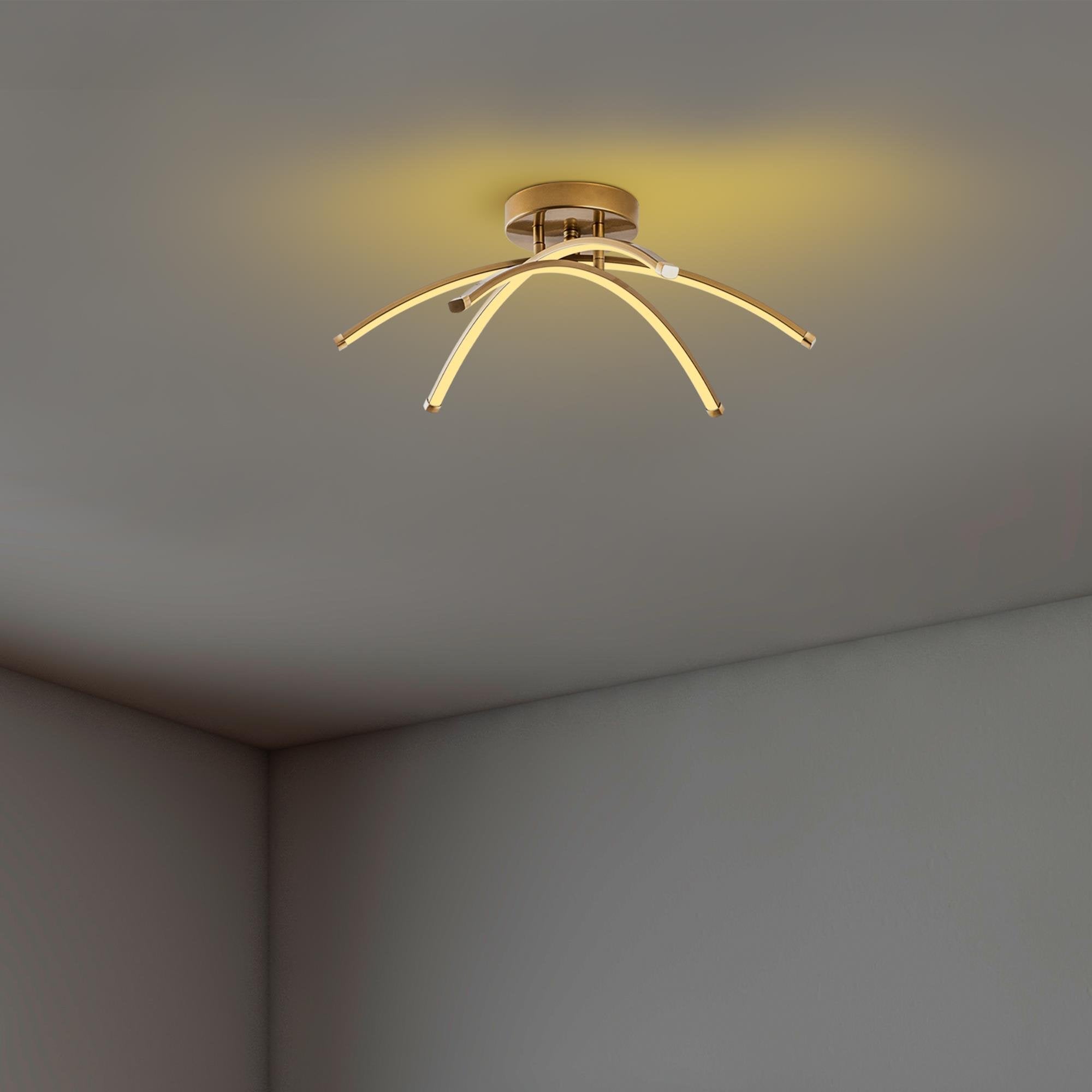 Lavender 13686 Led Plafonyer Aydınlatma 