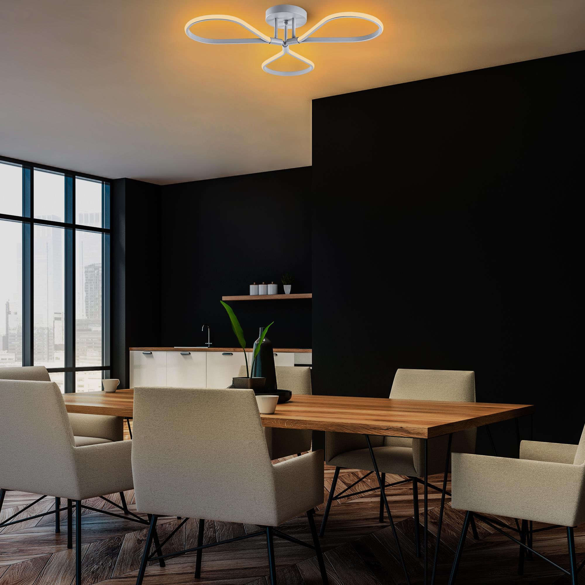 Raven 13543 Led Plafonyer Aydınlatma 
