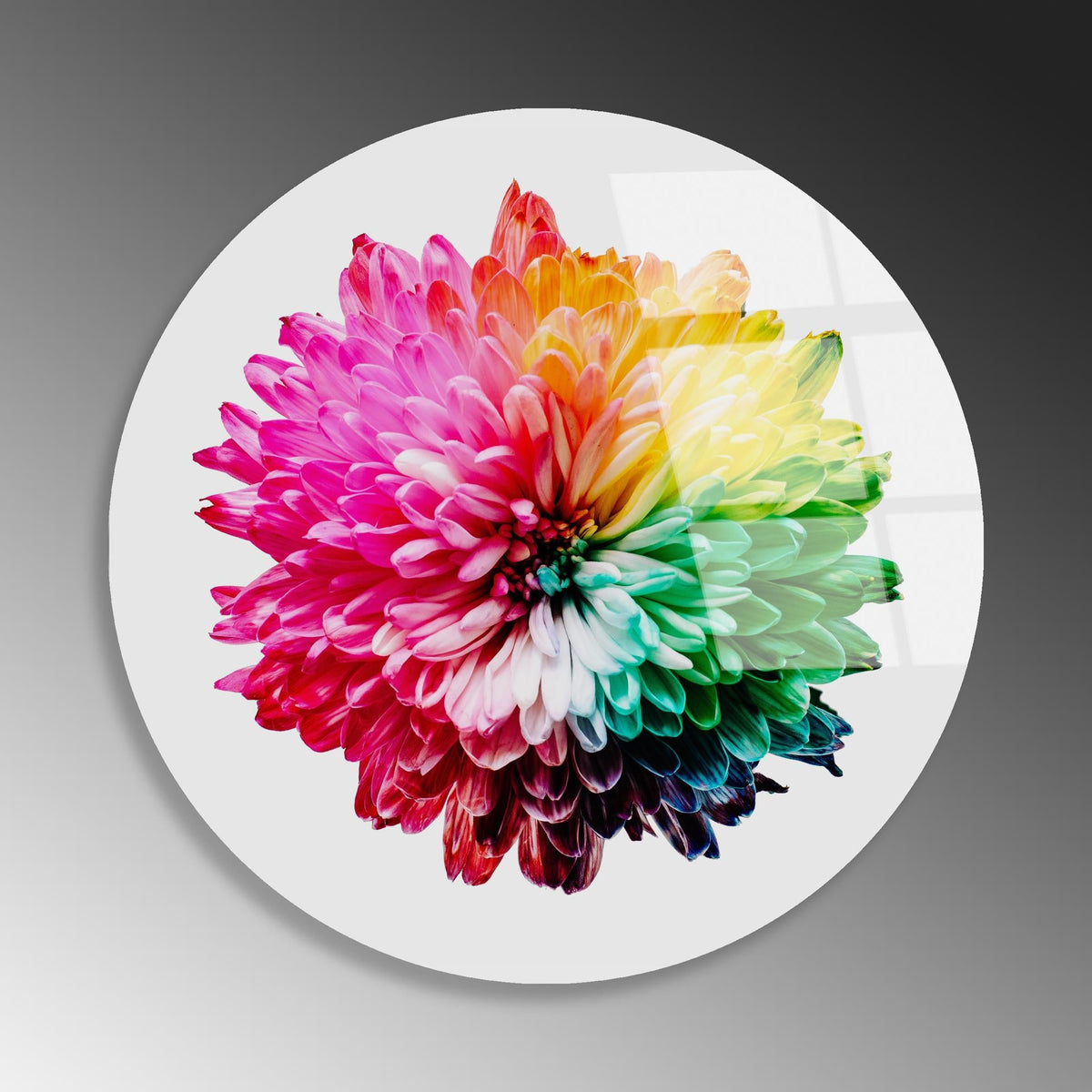 Uv-1137 Baskılı Cam Yuvarlak Duvar Tablosu 