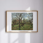 Camille Pissarro - Louveciennes'Deki Kestane Ağaçları
