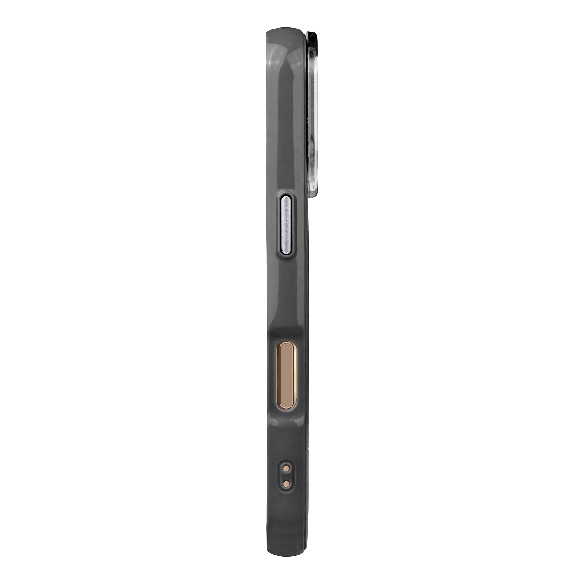 Fantastic Cats-Radiant Kılıf Magsafe Özellikli - Iphone 16 Pro