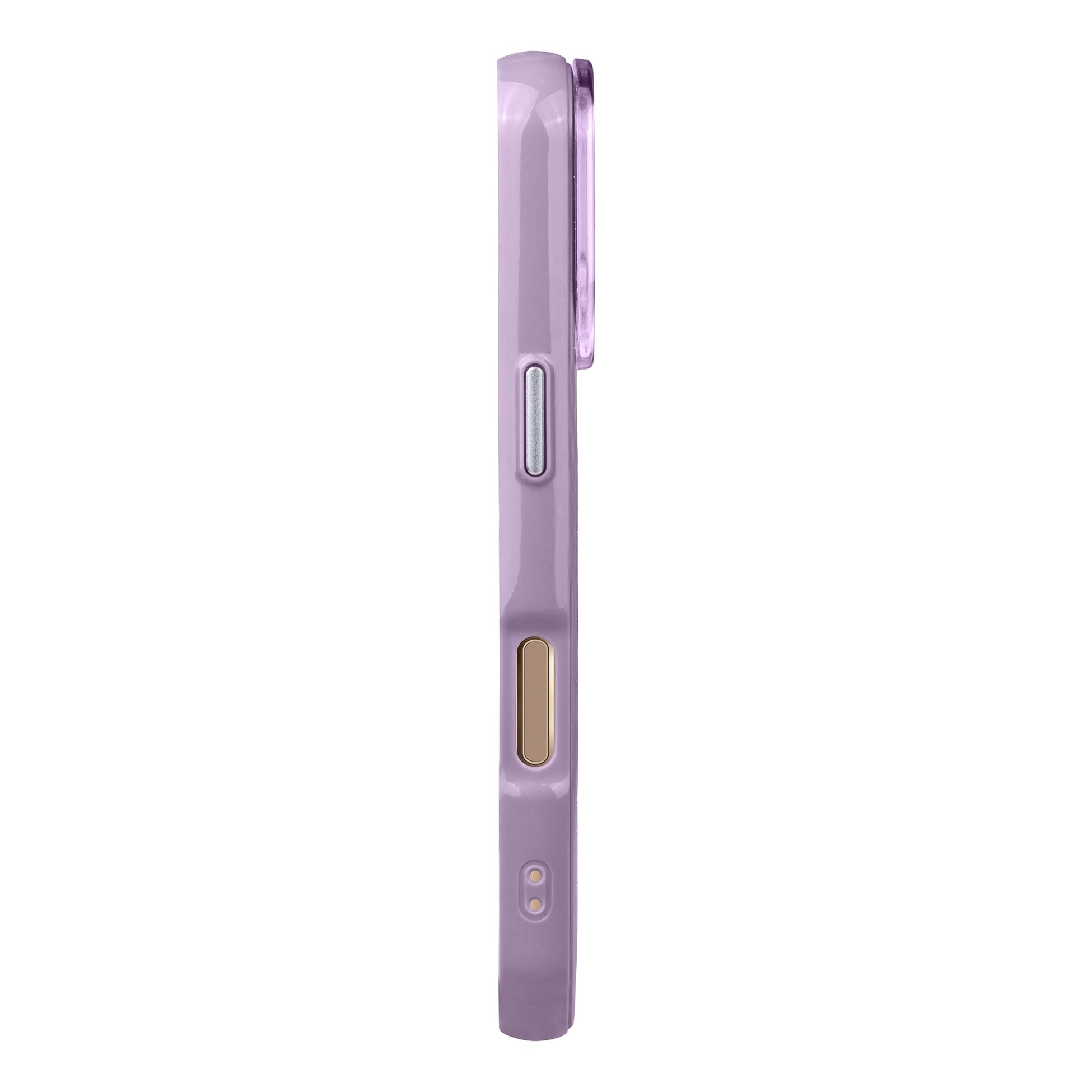 Grumblepaws-Radiant Kılıf Magsafe Özellikli - Iphone 16 Pro