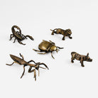 Coho Objet-Coho Brazen Dekoratif Pirinç Döküm Aslan Figürü-Dekoratif Objeler-7-Milagron.com