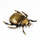 Coho Objet-Coho Brazen Pirinç Döküm El Yapımı Tılsım Böceği Heykeli-Dekoratif Objeler-1-Milagron.com