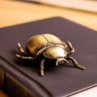 Coho Objet-Coho Brazen Pirinç Döküm El Yapımı Tılsım Böceği Heykeli-Dekoratif Objeler-3-Milagron.com