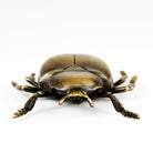 Coho Objet-Coho Brazen Pirinç Döküm El Yapımı Tılsım Böceği Heykeli-Dekoratif Objeler-5-Milagron.com