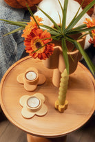 Color Reflect-Mini Daisy Mumluk-Mumluk & Şamdan-5-Milagron.com