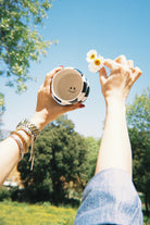 Cozy Cups | Dazzle 270