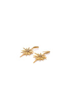 Damla Kalender-Golden Pole Star Earrings-Küpe-2-Milagron.com