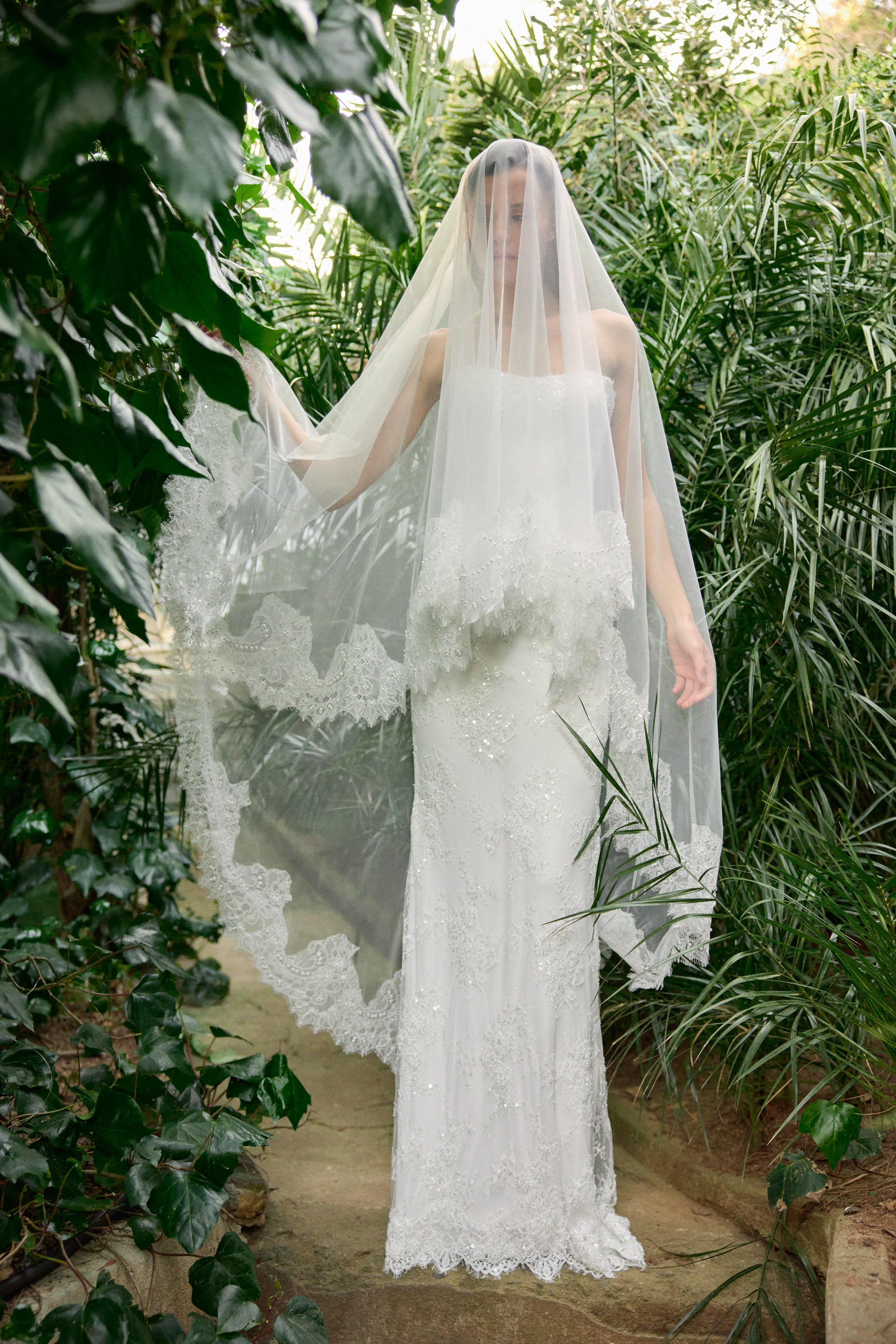 Avior Veil