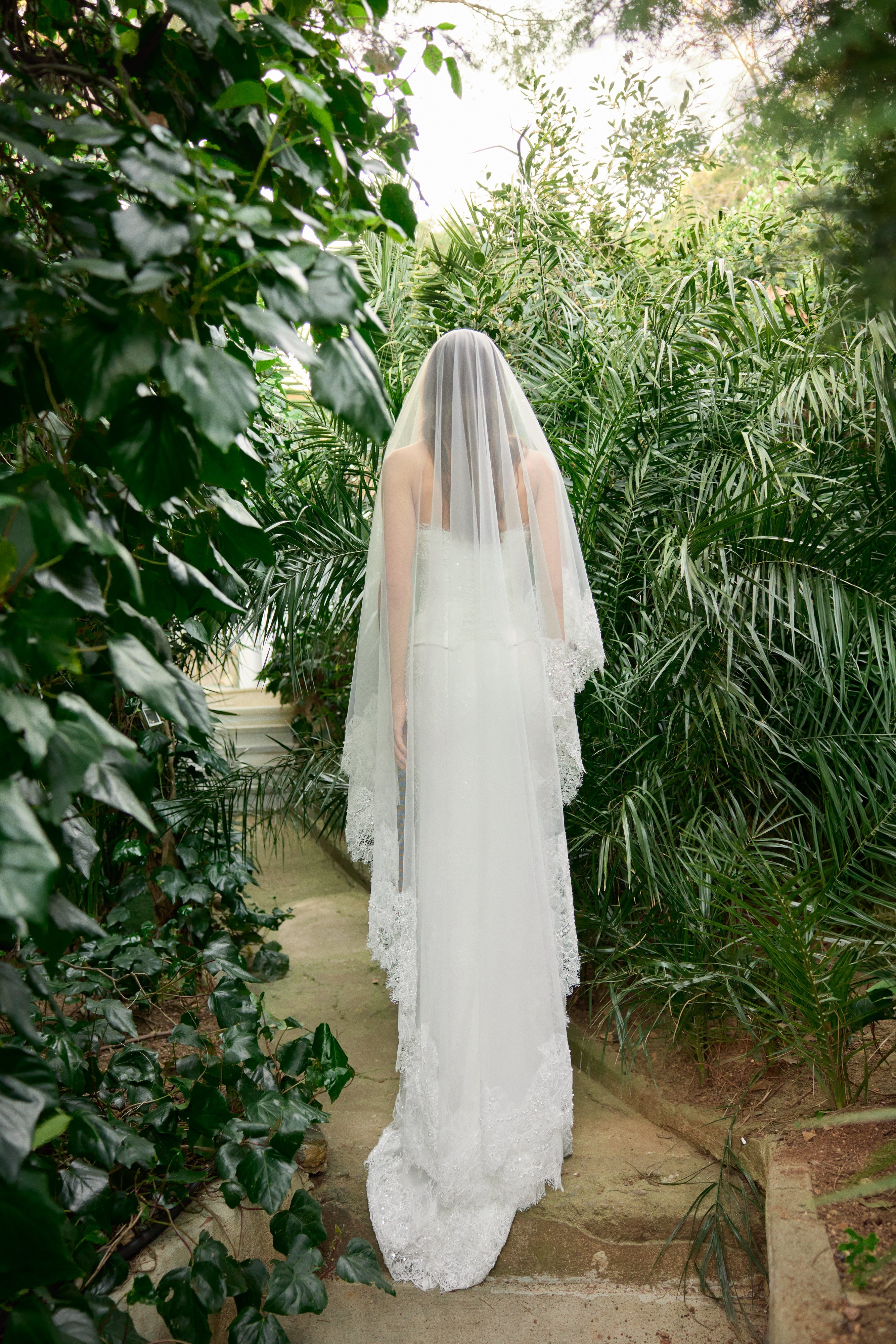 Avior Veil