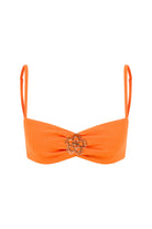 Declara-Camellia Iconic Top-Top-5-Milagron.com