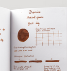 Diamine-Diamine Inkvent Green Edition Shimmer Collection şişe Mürekkep 50ml Yule Log-Mürekkep-4-Milagron.com