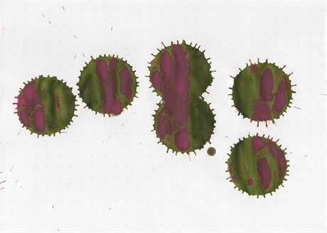 Diamine-Diamine Inkvent Sheen Noel Mürekkep-Mürekkep-5-Milagron.com