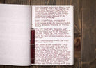 Diamine-Diamine Inkvent Sheen Noel Mürekkep-Mürekkep-6-Milagron.com