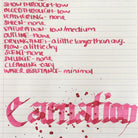 Diamine-Flower Collection 30 Ml Mürekkep Carnation-Şişe Mürekkep-2-Milagron.com