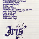 Diamine-Flower Collection 30 Ml Mürekkep Iris-Şişe Mürekkep-2-Milagron.com